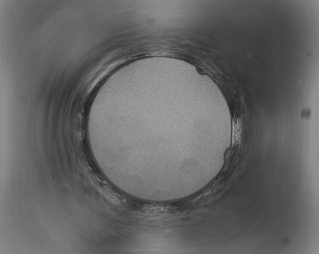 X0000114700291200911181324