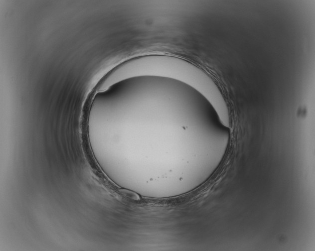 X0000114700292200911181324