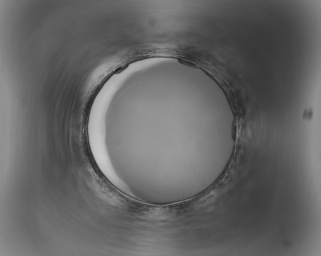 X0000114700293200911181324