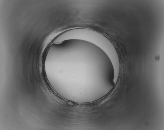 X0000114700294200911181324