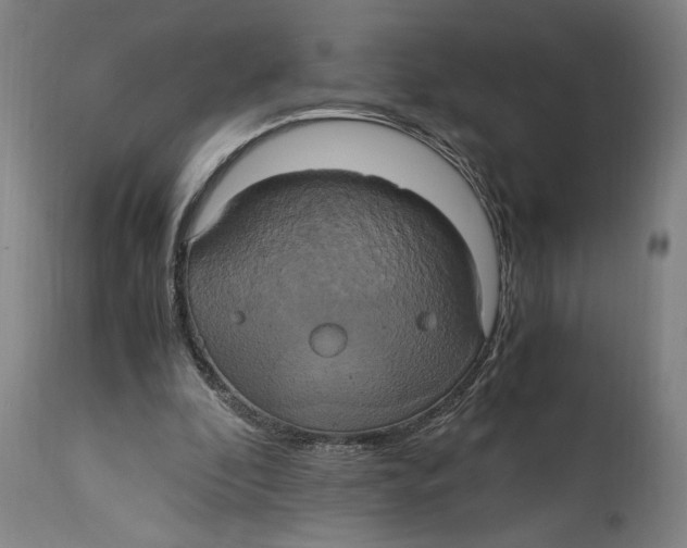 X0000114700296200911181324