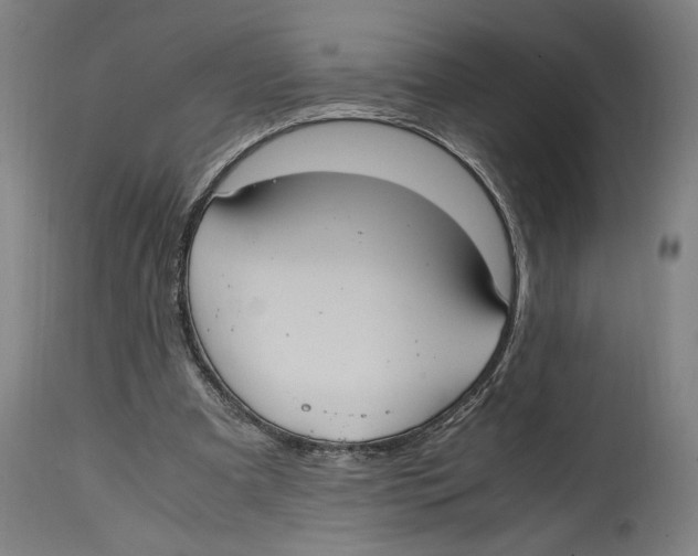 X0000114700297200911181324