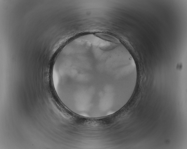 X0000114700299200911181323