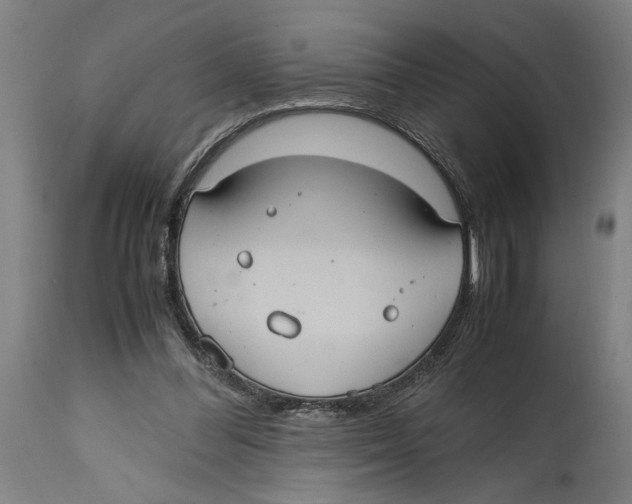 X0000114700300200911181323