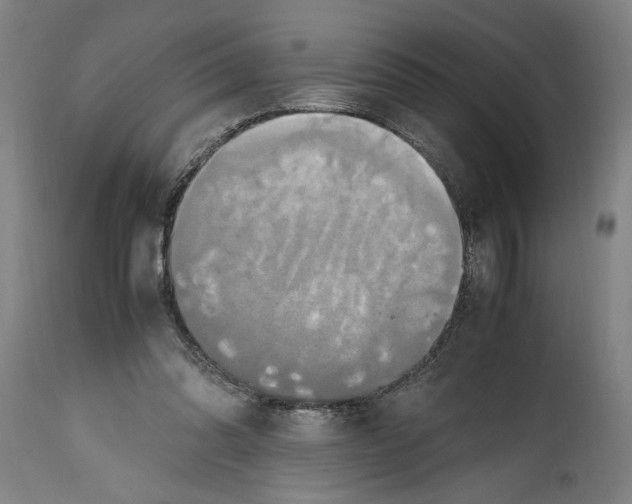 X0000114700302200911181323