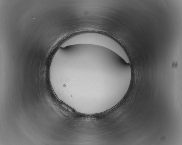 X0000114700304200911181323