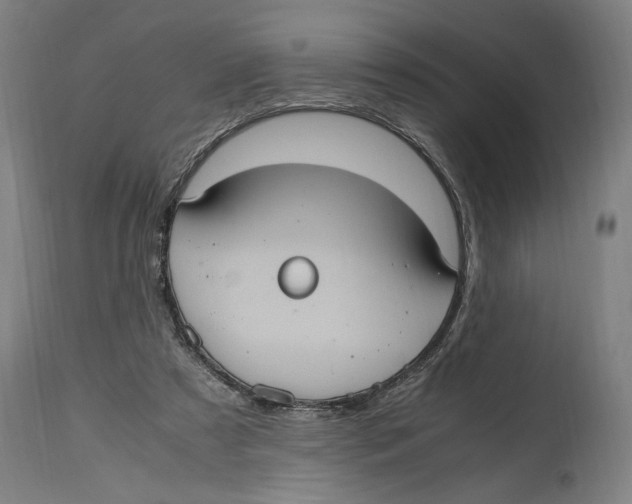 X0000114700305200911181323