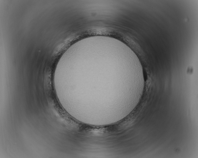 X0000114700306200911181323