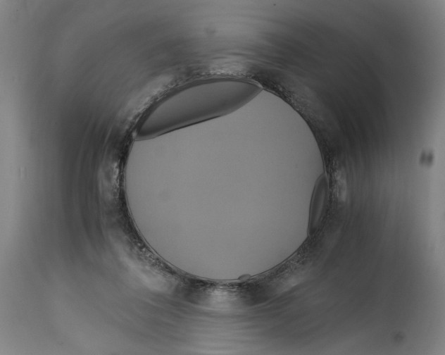 X0000114700308200911181323