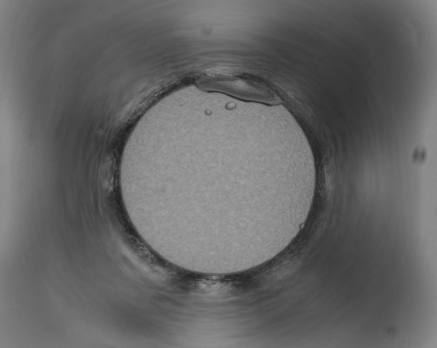 X0000114700311200911181323