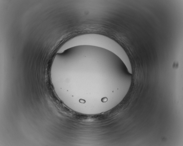 X0000114700312200911181323