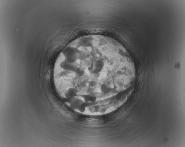 X0000114700315200911181323