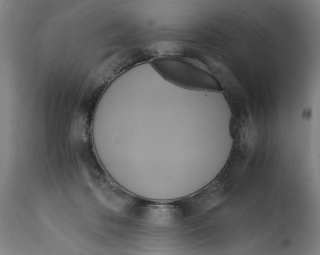 X0000114700316200911181323