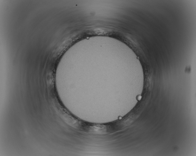 X0000114700317200911181323