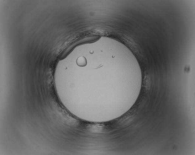 X0000114700318200911181323