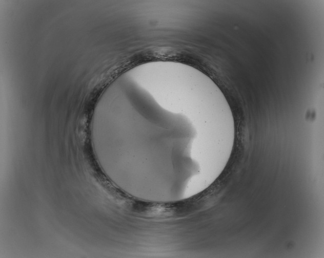 X0000114700319200911181323