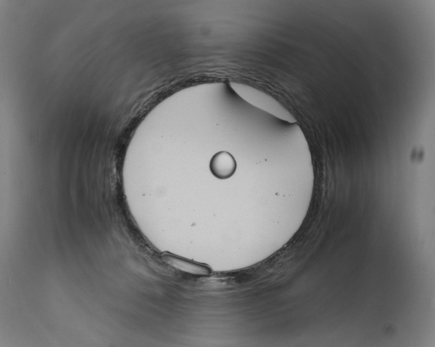 X0000114700320200911181323