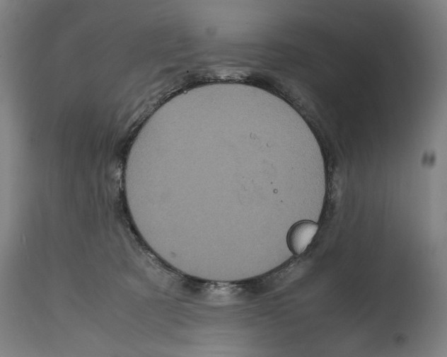 X0000114700321200911181323