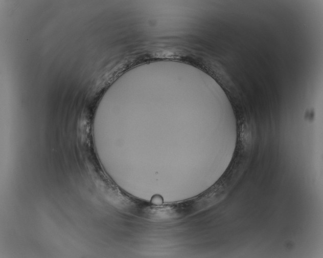 X0000114700322200911181323