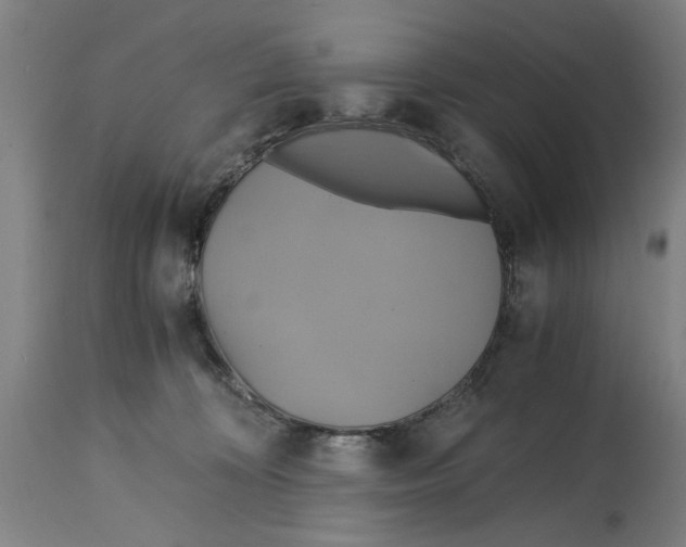 X0000114700324200911181323