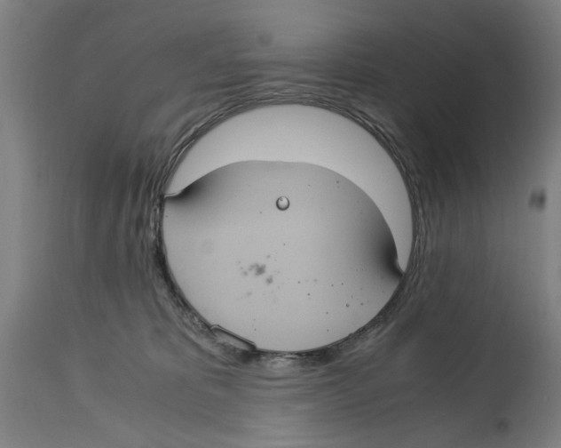 X0000114700325200911181323