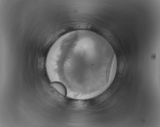 X0000114700326200911181323