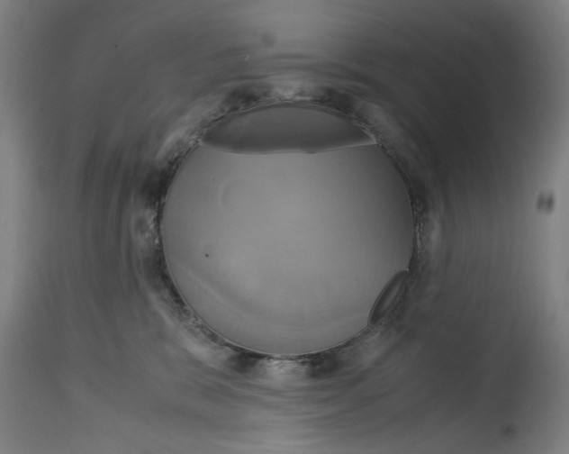 X0000114700327200911181323