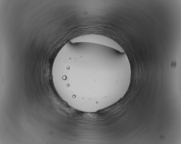 X0000114700328200911181323