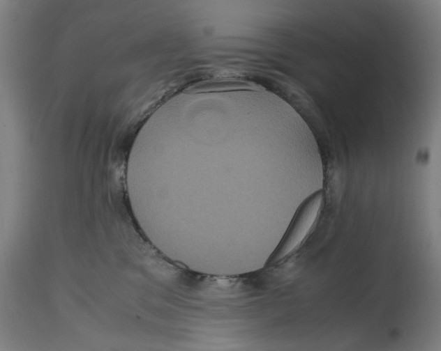 X0000114700329200911181323