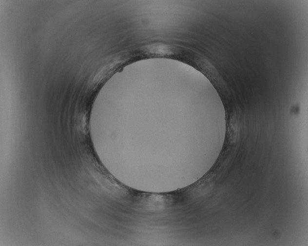 X0000114700330200911181323