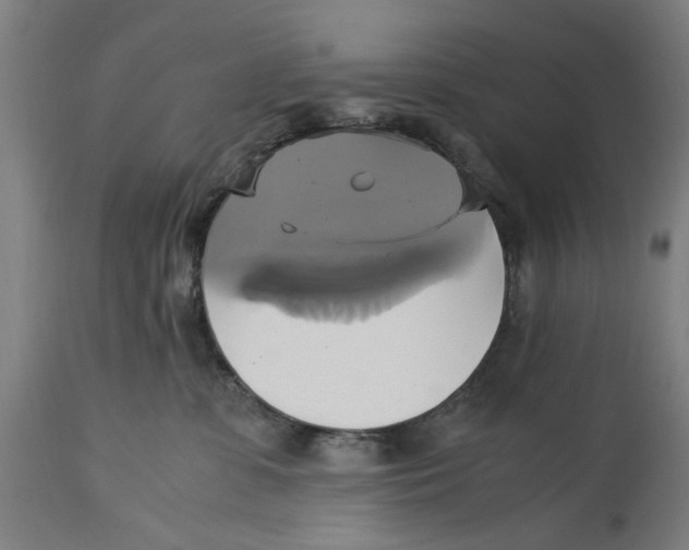 X0000114700331200911181323