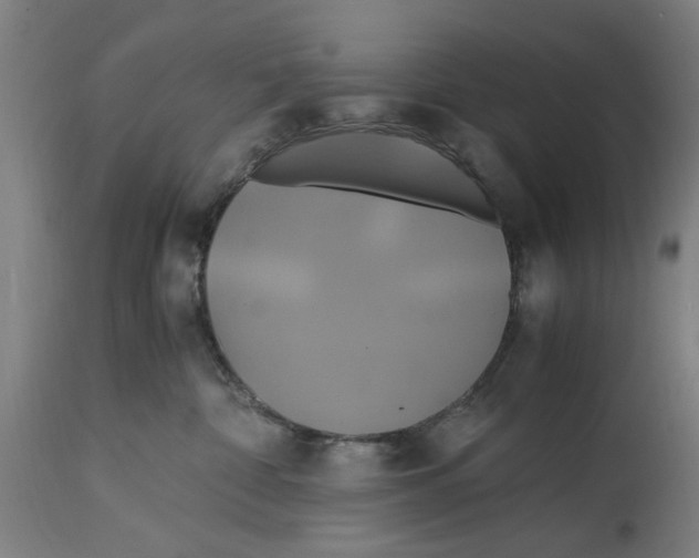 X0000114700332200911181323