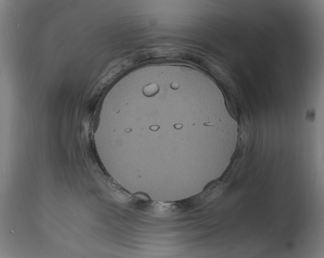 X0000114700333200911181323