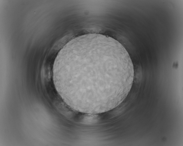 X0000114700334200911181323