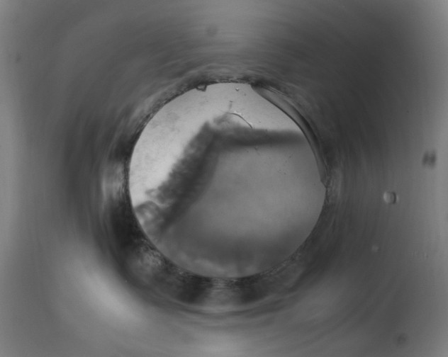 X0000114700335200911181323