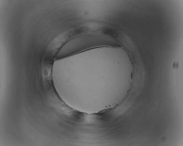 X0000114700336200911181323