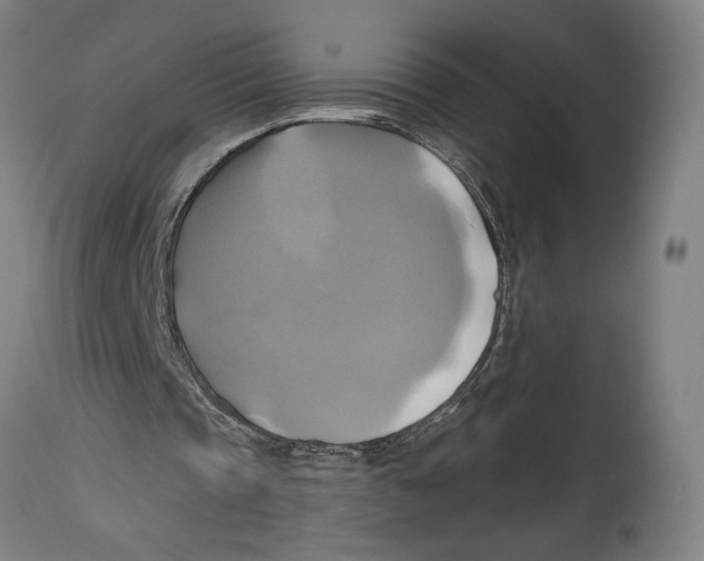 X0000114700337200911181322