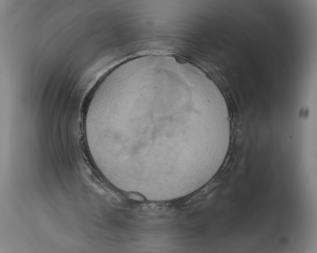 X0000114700338200911181322