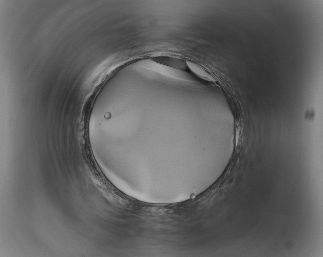 X0000114700339200911181322