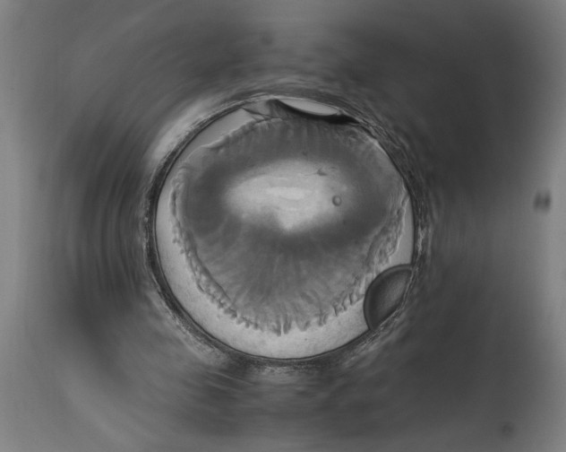 X0000114700341200911181322