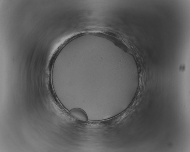 X0000114700342200911181322