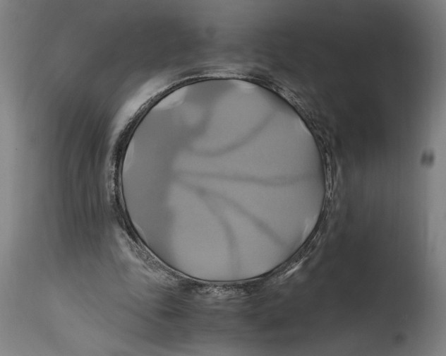 X0000114700343200911181322