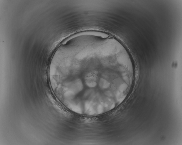 X0000114700345200911181322