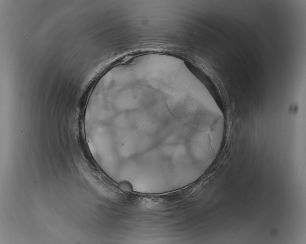 X0000114700346200911181322