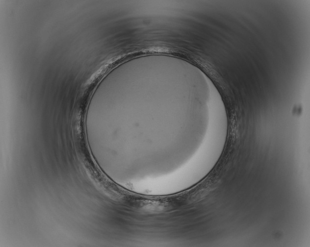 X0000114700347200911181322