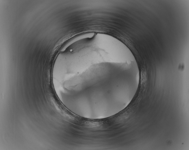 X0000114700349200911181322