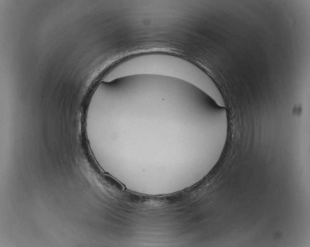 X0000114700350200911181322