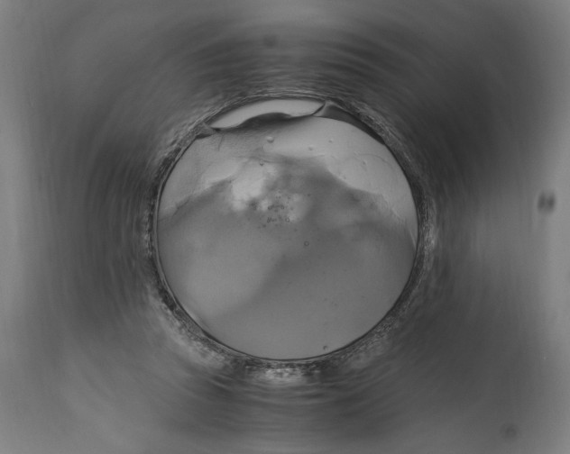 X0000114700353200911181322