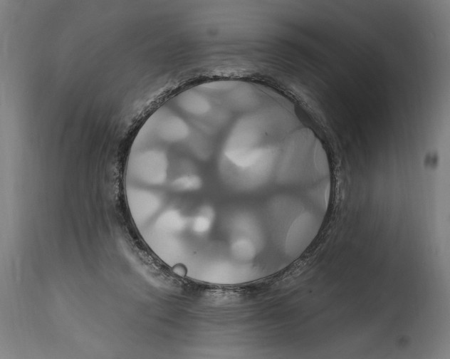 X0000114700354200911181322