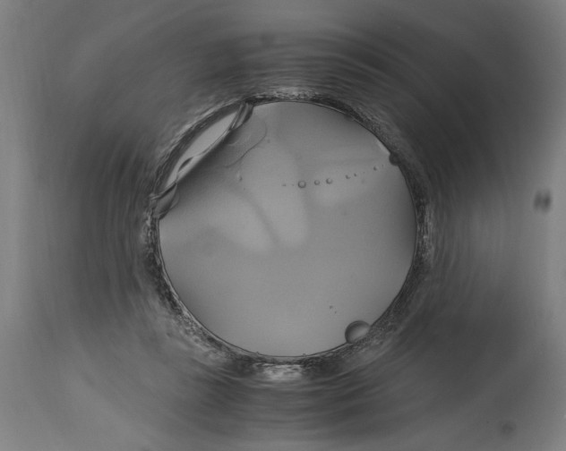 X0000114700355200911181322